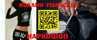 гашик Кулебаки