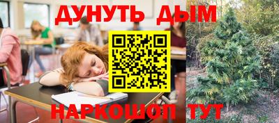 гашик Кулебаки