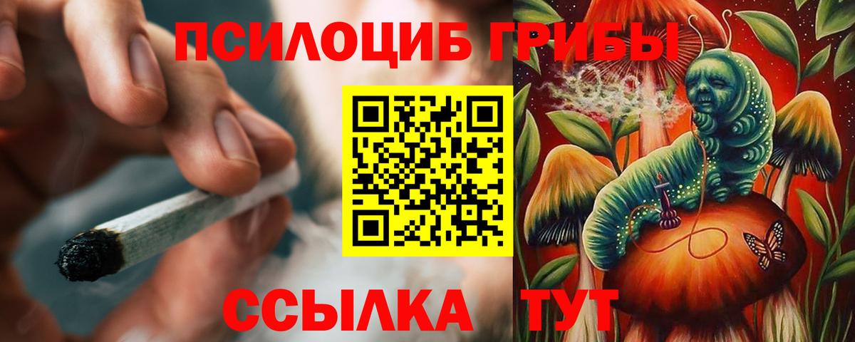 Ишимбай  Галлюциногенные грибы Psilocybe  Вход с VPN 